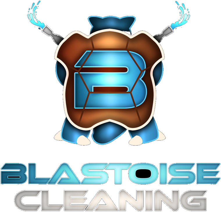 Blastoise Cleaning